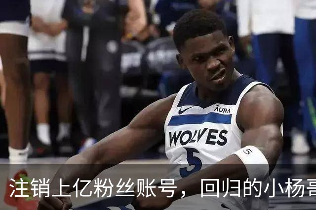 注销上亿粉丝账号，回归的小杨哥目标早已不在国内